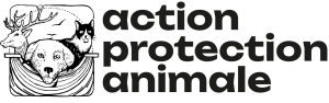 Logo de l’association Action Protection Animale, partenaire engagé pour le bien-être des animaux chez Miaouthé Bordeaux