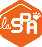 Logo orange de la SPA, partenaire de Miaouthé Bordeaux pour la protection animale et l’adoption responsable des chats
